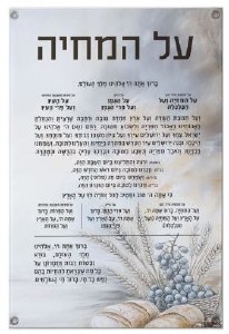 Picture of Vinyl Al Hamichya Wall Hanging Mural Sukkah Decoration Painted by Batya Hebrew Silver 10.5" x 18"